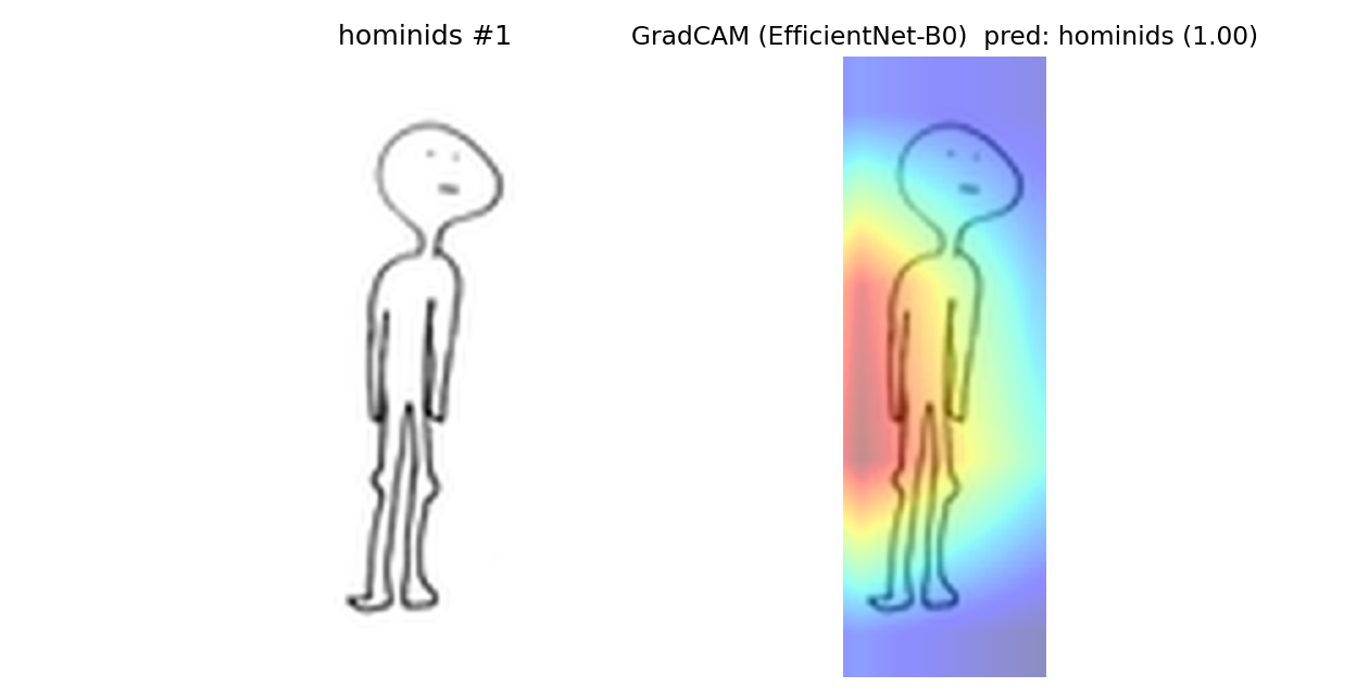 hominids example 1