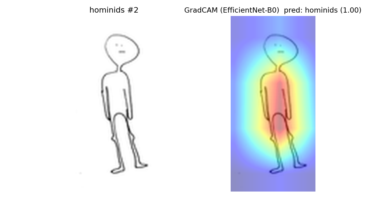 hominids example 2
