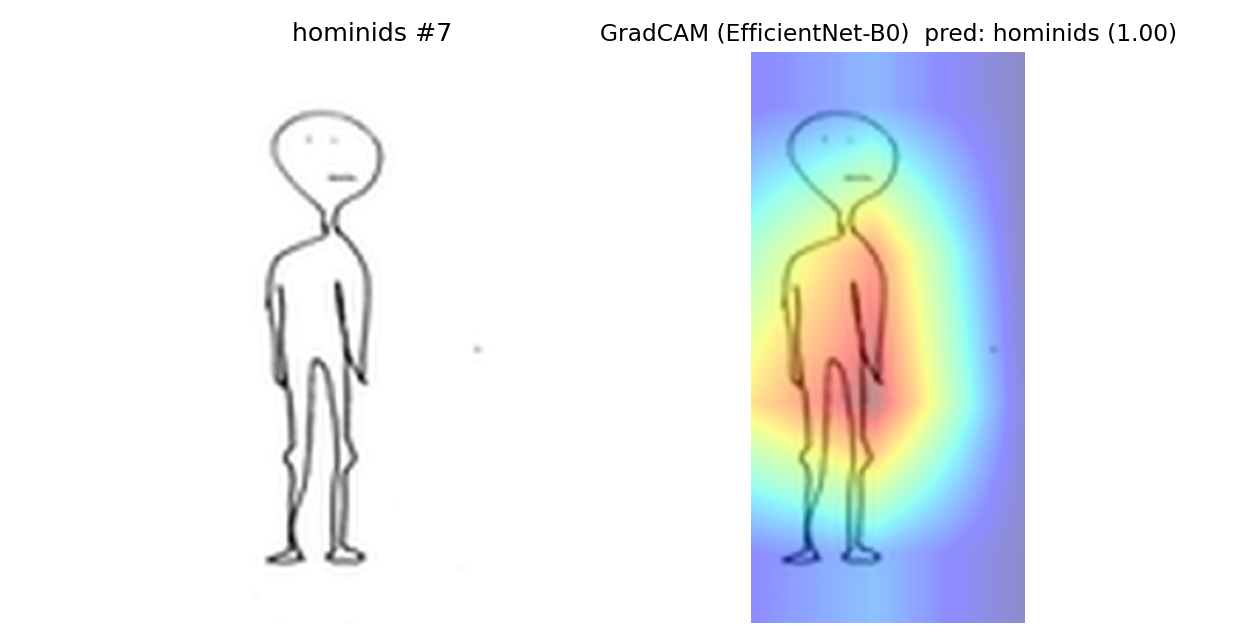 hominids example 7