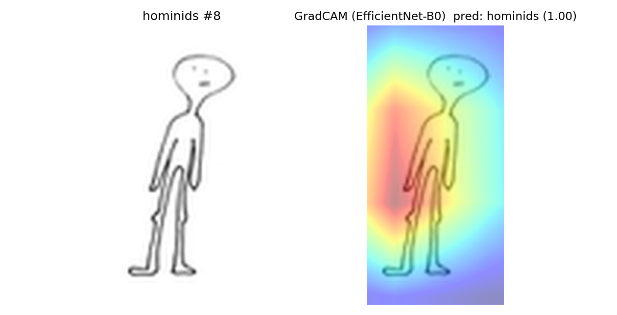 hominids example 8